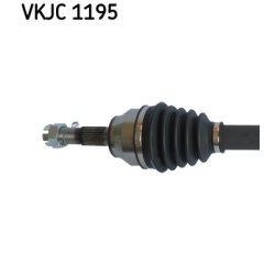vkjc-1195-2.jpg