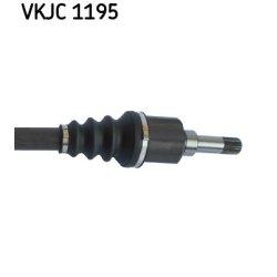 vkjc-1195-3.jpg