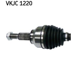 vkjc-1220-2.jpg