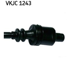 vkjc-1243-3.jpg