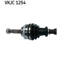 vkjc-1254-2.jpg