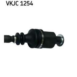 vkjc-1254-3.jpg