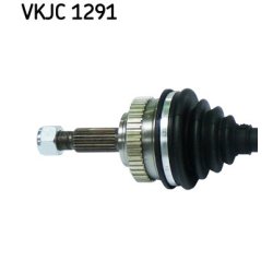 vkjc-1291-2.jpg