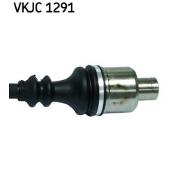 vkjc-1291-3.jpg