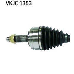 vkjc-1353-2.jpg