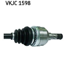 vkjc-1598-3.jpg