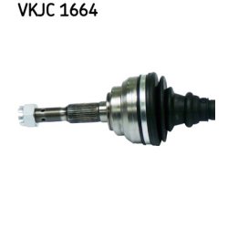 vkjc-1664-2.jpg