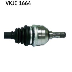 vkjc-1664-3.jpg