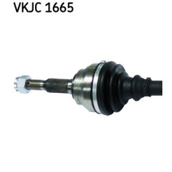 vkjc-1665-2.jpg