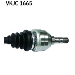 vkjc-1665-3.jpg