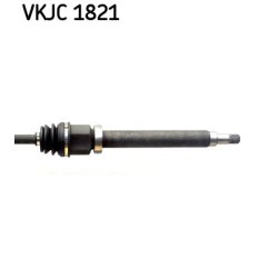 vkjc-1821-3.jpg