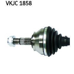vkjc-1858-2.jpg