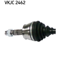 vkjc-2462-2.jpg