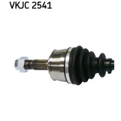 vkjc-2541-2.jpg