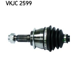 vkjc-2599-2.jpg