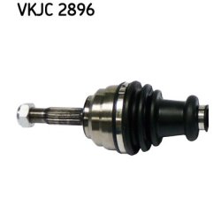 vkjc-2896-2.jpg