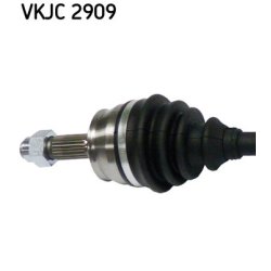 vkjc-2909-2.jpg