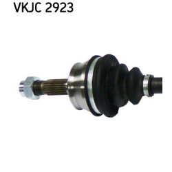 vkjc-2923-2.jpg