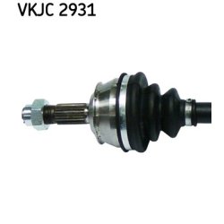 vkjc-2931-2.jpg