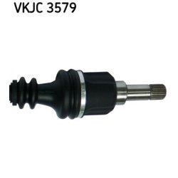 vkjc-3579-3.jpg