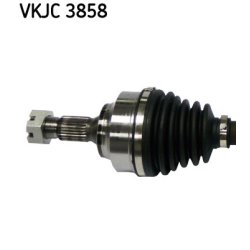 vkjc-3858-2.jpg