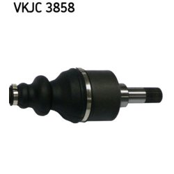 vkjc-3858-3.jpg