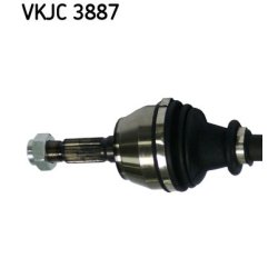 vkjc-3887-2.jpg