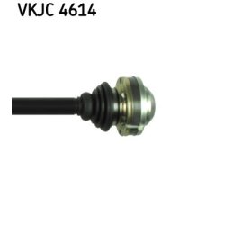vkjc-4614-3.jpg