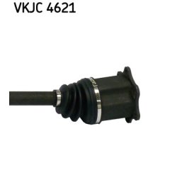 vkjc-4621-3.jpg