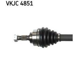 vkjc-4851-2.jpg