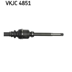 vkjc-4851-3.jpg