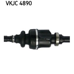 vkjc-4890-3.jpg