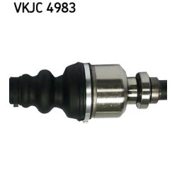 vkjc-4983-3.jpg