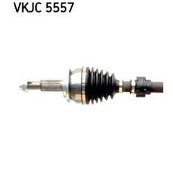 vkjc-5557-2.jpg
