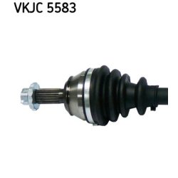 vkjc-5583-2.jpg