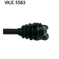vkjc-5583-3.jpg