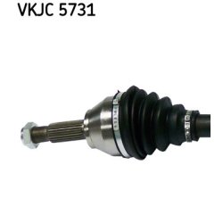 vkjc-5731-2.jpg