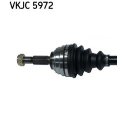 vkjc-5972-2.jpg