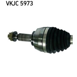 vkjc-5973-2.jpg