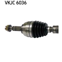 vkjc-6036-2.jpg