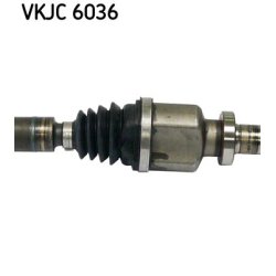 vkjc-6036-3.jpg