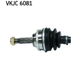 vkjc-6081-2.jpg