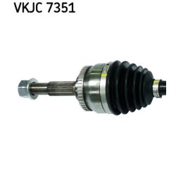 vkjc-7351-2.jpg