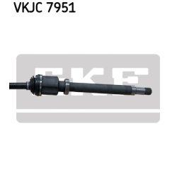 vkjc-7951-3.jpg