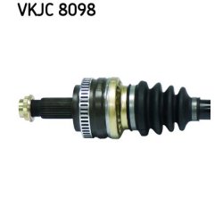 vkjc-8098-2.jpg