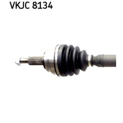 vkjc-8134-2.jpg