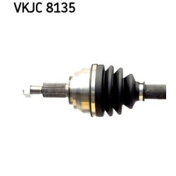 vkjc-8135-2.jpg