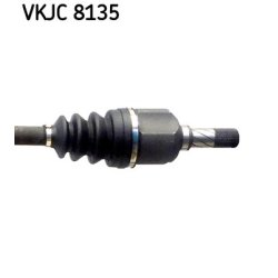 vkjc-8135-3.jpg