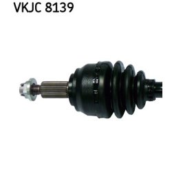 vkjc-8139-2.jpg