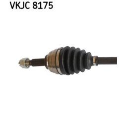 vkjc-8175-2.jpg